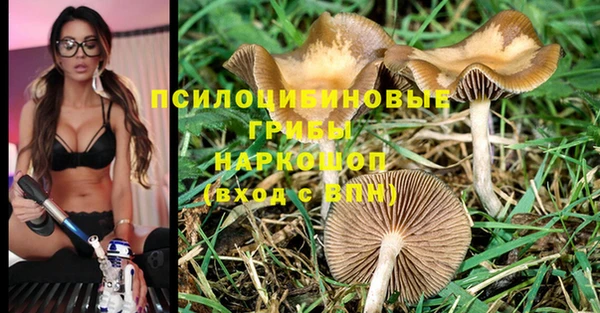 мяу мяу мука Арсеньев