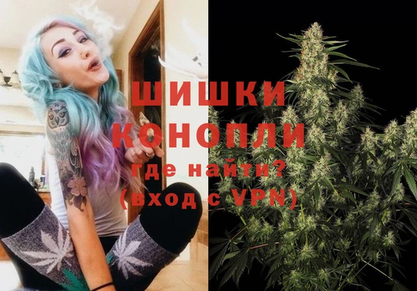 Альфа ПВП Аркадак